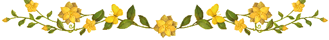 3885146_44859081_unbenannt__5 (649x79, 17Kb)
